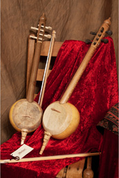 Spike Fiddles