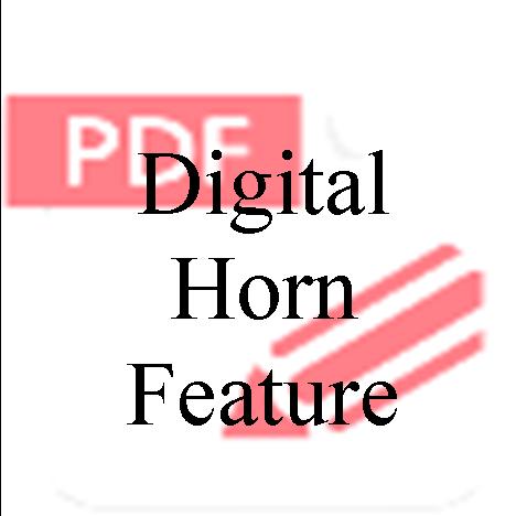 Digital Horn Feature