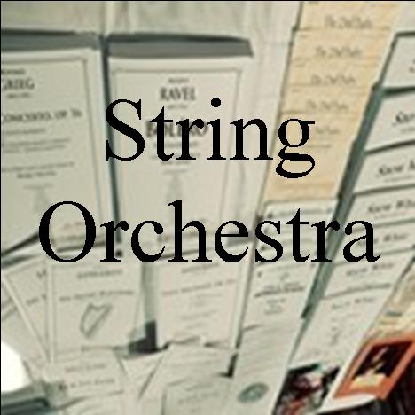 String Orchestra